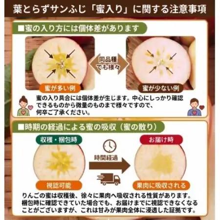 11-12月蜜入り時期に発送! 平均糖度13度以上 葉とらずサンふじ 約10kg 訳あり 家庭用【配送不可地域：沖縄県】【1740666】