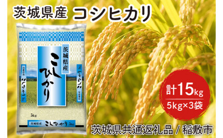 【6年度産新米】茨城県産コシヒカリ精米15kg(5kg×3袋)【米 おこめ こしひかり 農家直送 直送 茨城県】（茨城県共通返礼品/稲敷市）（HT-201）