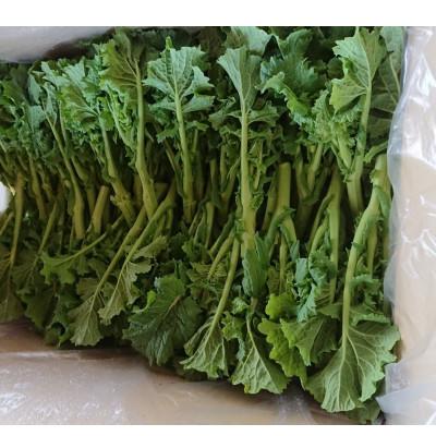 ふるさと納税 まんのう町 菜の花(バラ) 約2kg |  | 02