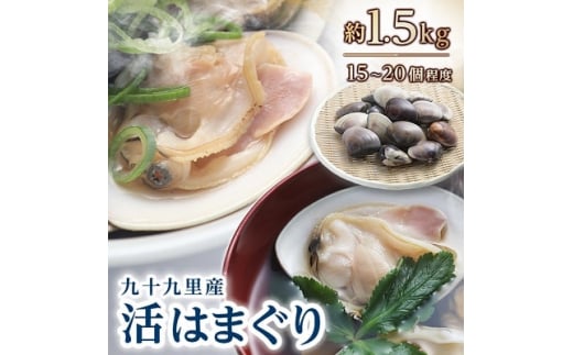 天然 活はまぐり 詰合せ 全6回発送 ＜ 定期便 固定月 ＞ 九十九里産 国産 はまぐり 貝類 貝 魚貝類 無添加 魚介 海の幸 海 鍋 バーベキュー BBQ お吸い物 産地直送 ご馳走 蛤 贈答 ギフト プレゼント 贈答 記念日 お祝い 送料無料 千葉県 旭 飯岡ヤマイチ水産-大納屋- 千葉県 旭市