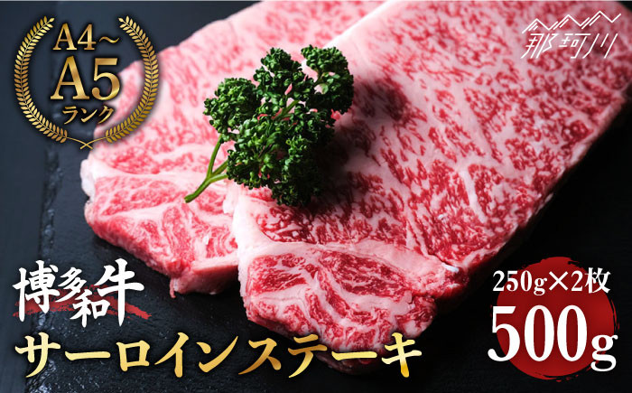 
博多和牛 牛肉 サーロイン ステーキ 500g（250g×2）＜肉のくまもと屋＞ [GBI002]
