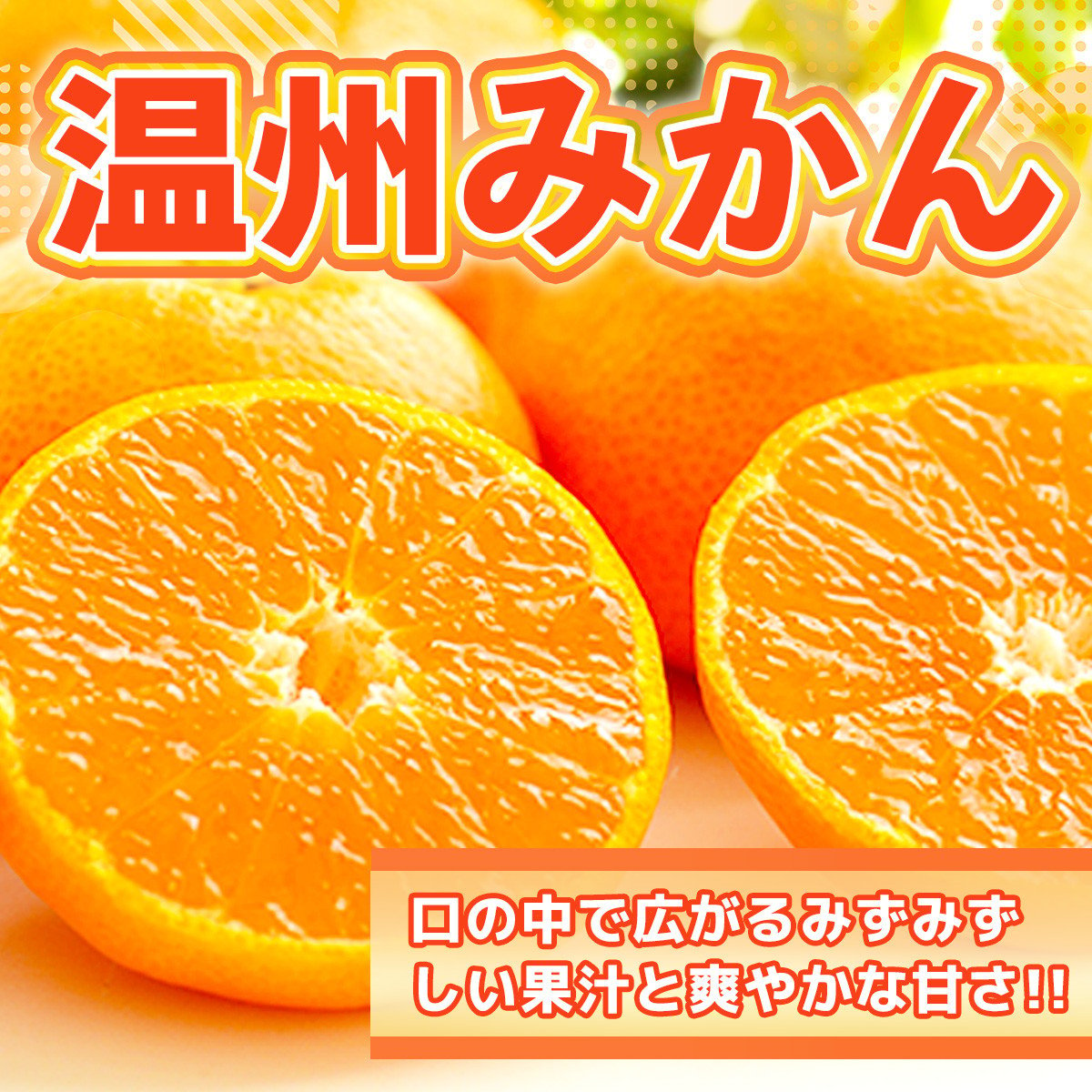 
            温州みかん 約12kg 2S～2L みかん 果物 くだもの フルーツ 柑橘 【2024年12月上旬までに発送予定】
          