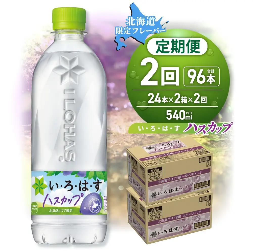 【２ヶ月定期便】い・ろ・は・す ハスカップ　540mlPET×48本｜コカ・コーラ 飲料 ドリンク 飲み物 水 北海道 札幌市