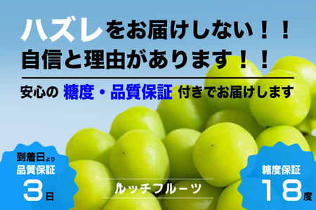 【2026年発送★先行予約】【全房糖度18度保証付】シャインマスカット 約1.1kg 2～3房/日テレ「ZIP!」TBS「ひるおび」にて紹介！美味しいフルーツだけをお届け【ルッチ Rucci】産地直送 山梨県 笛吹市 糖度 品質 保証 葡萄 ぶどう 新鮮 旬 くだもの 果物 フルーツ 人気 ランキング リピート 高評価 ギフト 贈答 贈り物 化粧箱 期間限定 令和8年 先行予約 104-003-FN