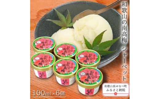 
                  和歌山の南高梅（シャーベット）100ml×6個【yplu004A】
                