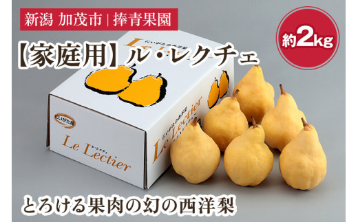 【2026年先行予約】【家庭用】西洋梨 ル・レクチェ 約2kg（5〜7玉） 《11月下旬～順次発送》 ル・レクチエ ルレクチエ ルレクチェ  幻の西洋梨 果実 フルーツ 冬の味覚 加茂市 捧青果園