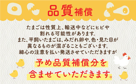 ばあちゃんの昔たまご 35個+5個（品質補償付き） / 佐賀県 / 素ヱコ農園 [41AEAA002]