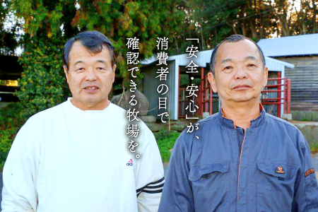 D-295 松永和牛A5ランク　最高級ヒレステーキ2枚
