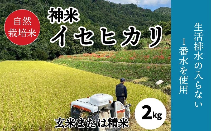 
自然栽培米 "神米" イセヒカリ 2キロ 玄米または精米 | 米 イセヒカリ 無農薬 玄米 精米 真空パック 愛媛県 松山市
