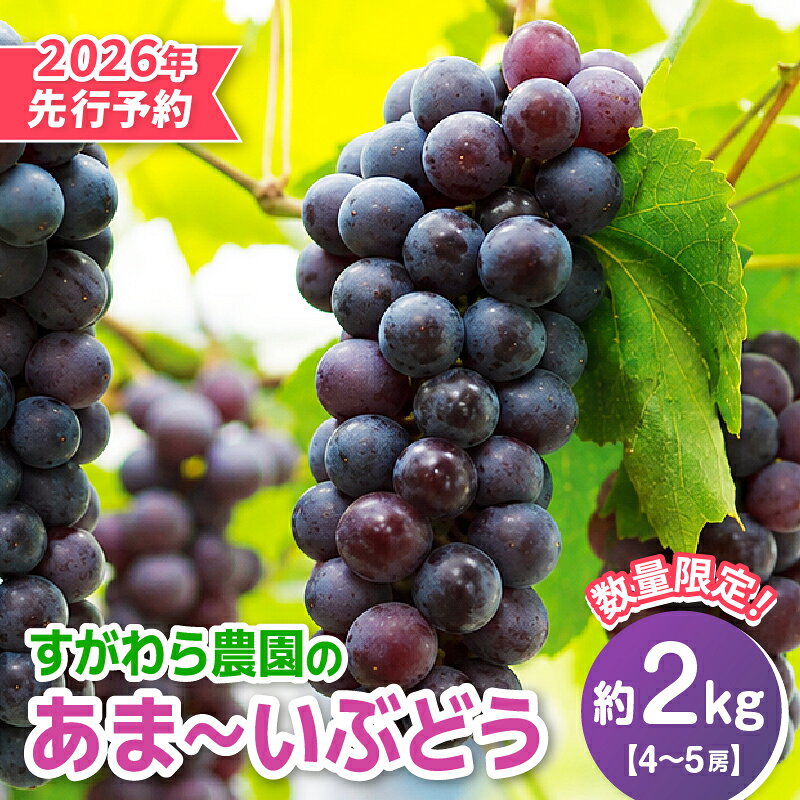 【ふるさと納税】【先行予約】【数量・期間限定】50P3422 田舎の完熟 ぶどう2kg前後