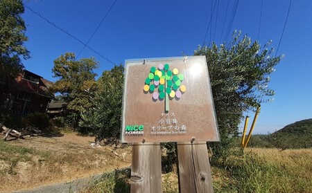 オリーブオイル 小豆島の恵み 
100％小豆島産 手摘み エキストラバージンオリーブオイル 85g×1本 ルッカ