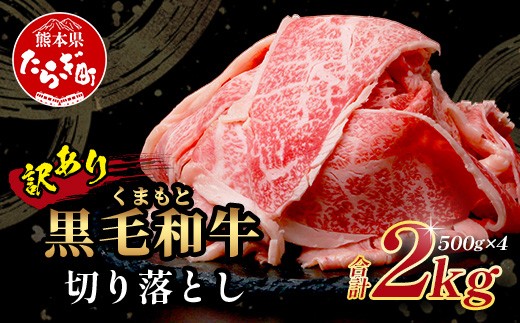 
                  【訳あり】くまもと黒毛和牛 切り落とし 2kg(500g×4) 本場 熊本県 黒毛 和牛 ブランド 牛 肉 2キロ 大容量 上質 くまもと 訳アリ 小分け 冷凍 すき焼き しゃぶしゃぶ 113-0561
                