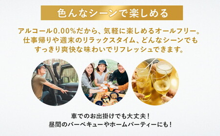 【２ヶ月　定期便】サントリーオールフリー350ml缶×24本