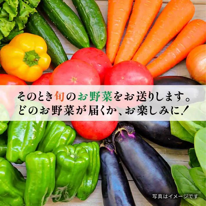 地元農家さんが収穫した旬のお野菜  10種詰め合わせ / 野菜 旬 新鮮 採れたて 季節野菜 旬野菜 農家直送 / 南島原市 / ミナサポ [SCW022]
