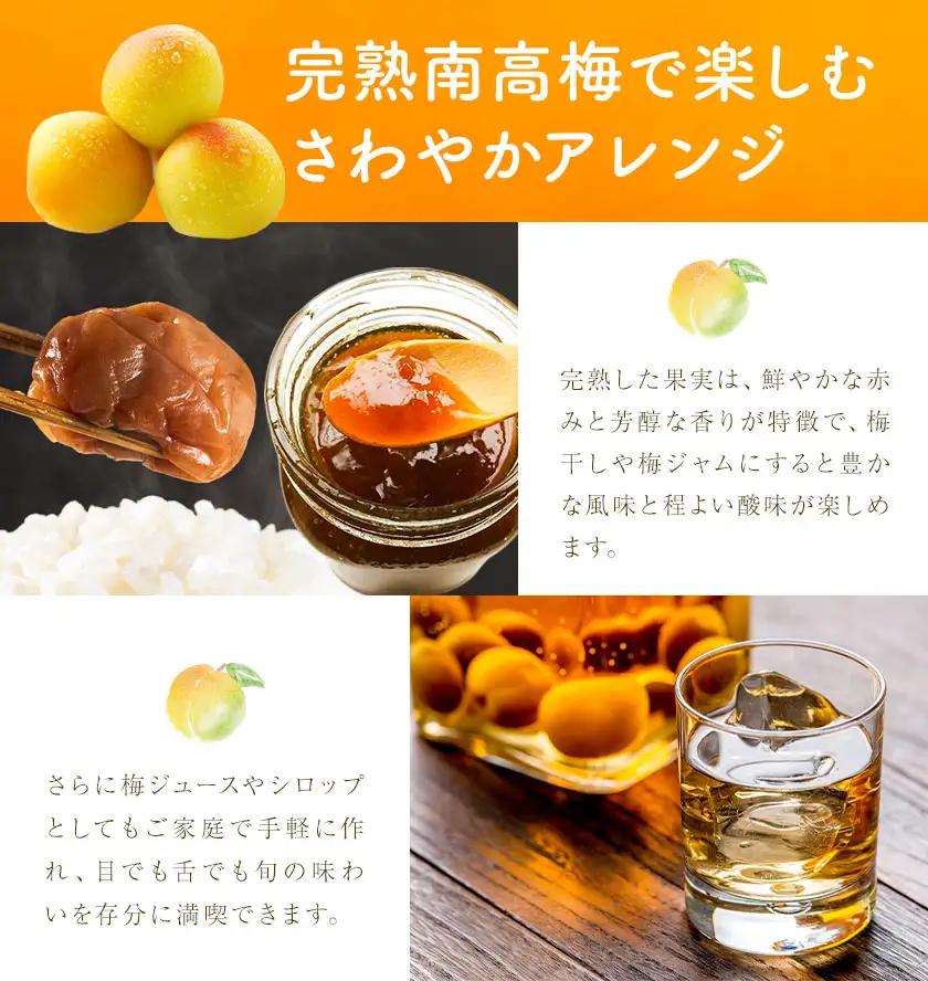 紀州南高梅 訳あり(完熟) 2L 10kg 農業福祉研究機構《6月下旬-7月上旬頃出荷》
