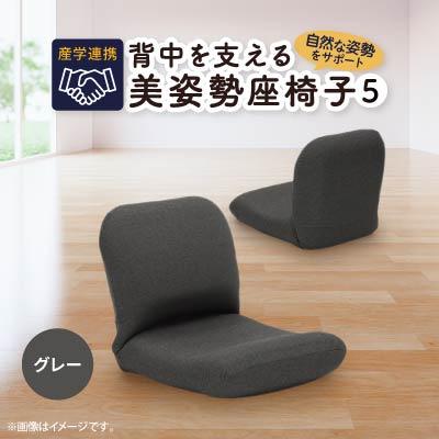 ふるさと納税 坂戸市 産学連携　背中を支える美姿勢座椅子5　グレー