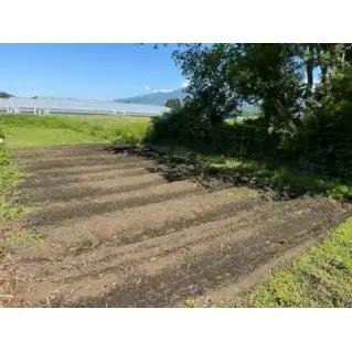 軽井沢自給農講座　受講券（自給農Bコース）　自給自足カレッジ軽井沢校 農業体験