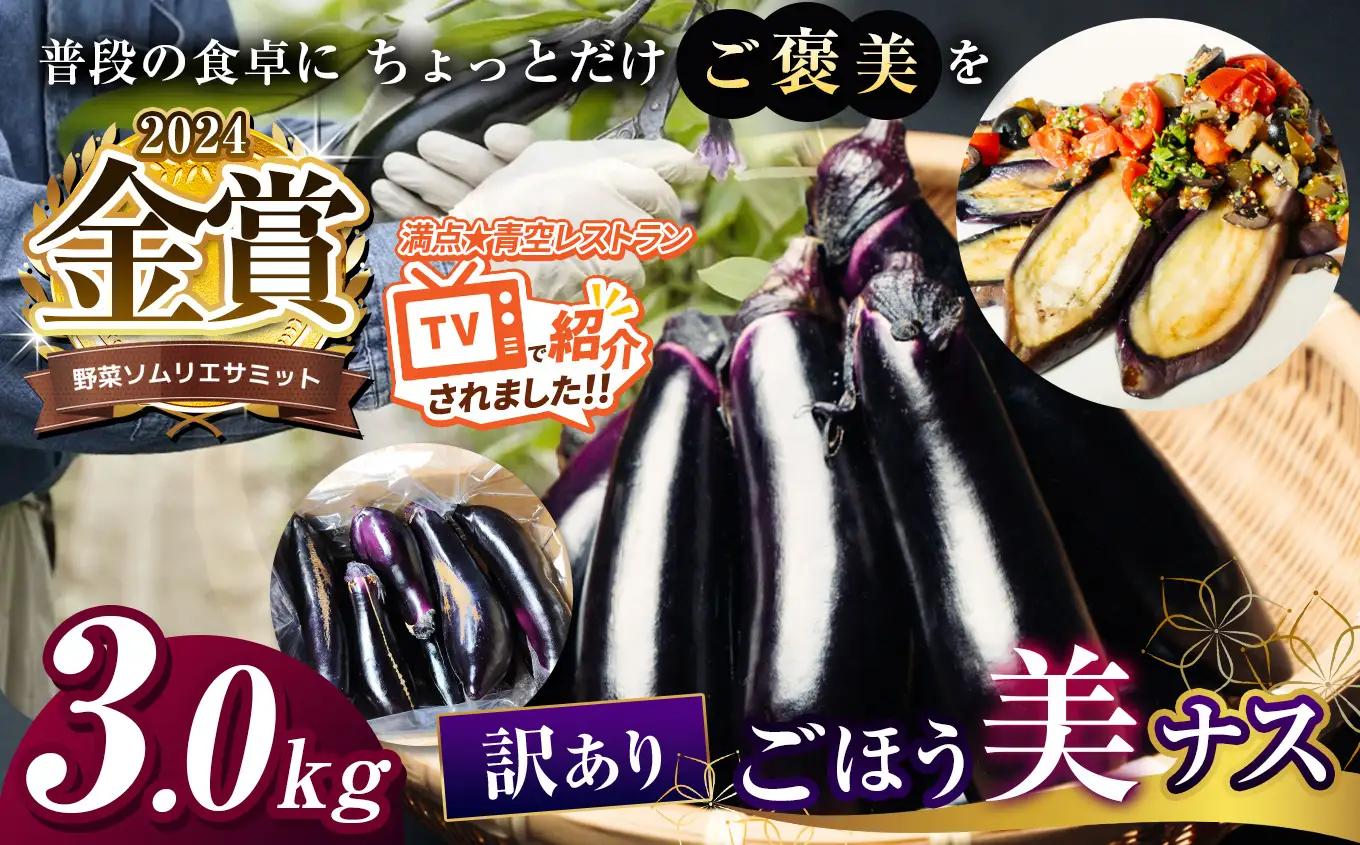 農家さん応援！訳ありごほう美ナス 約3kg