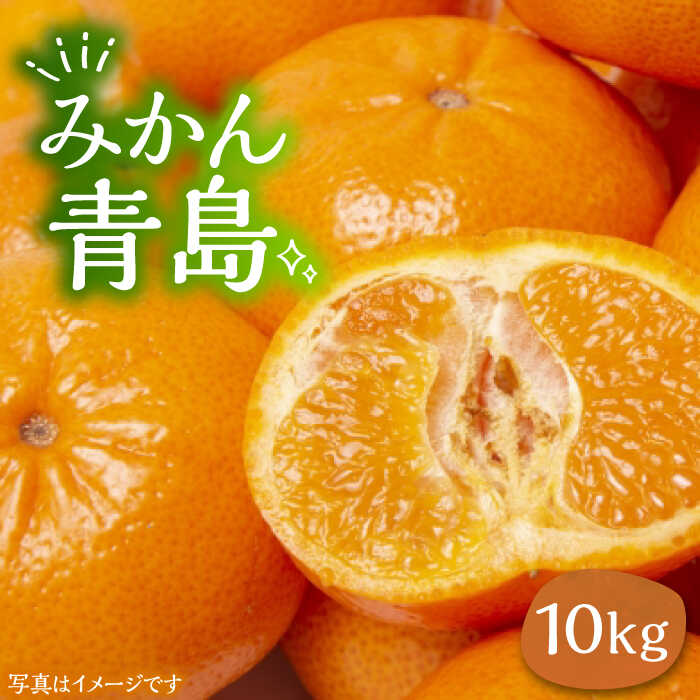 【ふるさと納税】ミカン 青島 10kg《豊前市》【山田農場 フルーツランド】[VCY012] ミカン みかん 甘い 青島みかん 10キロ 送料無料