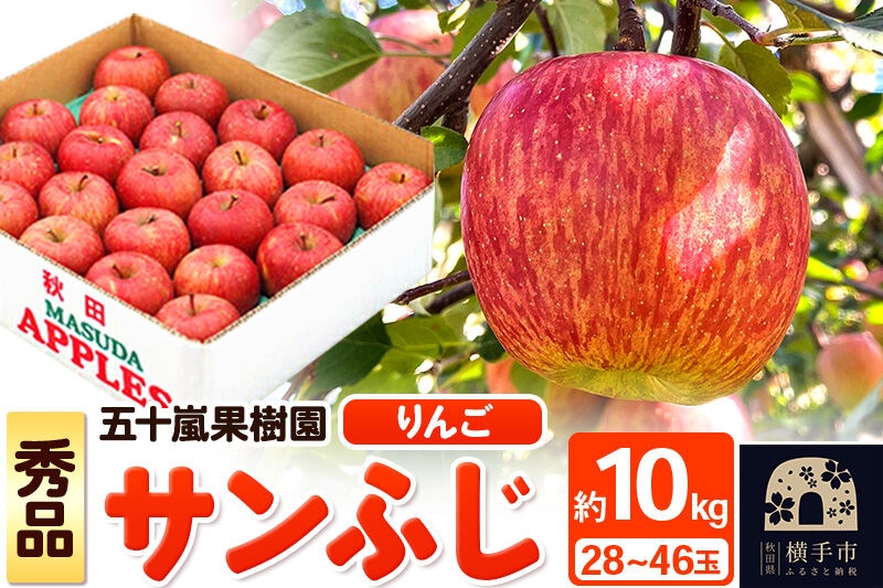 
                  【先行受付】12月中旬より発送 サンふじ 【秀品】約10kg （28～46玉）りんご 林檎 [先行予約 サンふじ サンフジ 林檎 リンゴ フルーツ 果物 【りんご】特集]
                