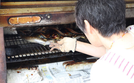 鯖 焼き鯖棒寿司 2本 [AICQ007] 