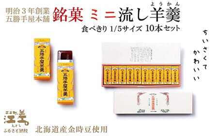 五勝手屋本舗『ミニ流し羊羹』10本セット　金時豆のようかん　保存料不使用　五勝手屋羊羹の老舗　和菓子　銘菓　名物　贈答用　ギフト