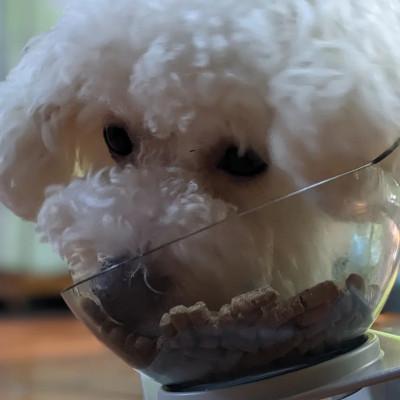 ふるさと納税 あきる野市 「東京の鹿」鹿肉ドッグフード 成犬用・小粒ドライタイプ　800g×2個セット |  | 02