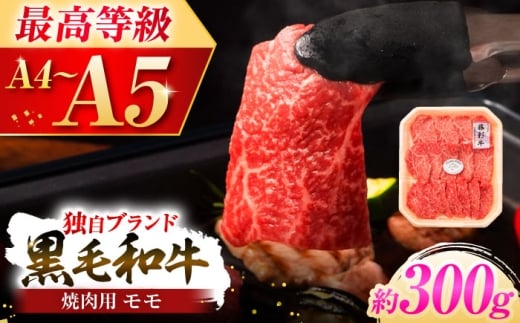 フジチク 藤彩牛 モモ 焼肉用 約300g  牛肉 黒毛和牛 モモ もも 300g A5 A4 ランク 阿蘇 熊本県 菊陽町 焼き肉  バーベキュー BBQ 和牛 人気 部位   冷凍 ブランド ブランド和牛 おすすめ 便利 希少 普段使い 肉料理 ごはん ご飯 肉 にく niku 九州 がっつり 贅沢【株式会社フジチク】[BHAD119]