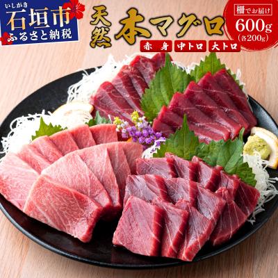 ふるさと納税 石垣市 【数量限定】石垣島産 天然本マグロ 600g (まぐろ赤身・中トロ・大トロのミックスセット)
