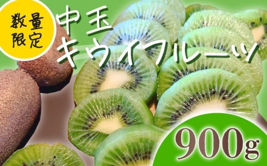 【先行予約】【1月上旬~順次発送】キウイ フルーツ 無農薬 グリーンキウイ 腸活 健康 甘い 手でむける キウイフルーツ みつばちキウイ 中玉 900g 栽培期間中農薬・化学肥料不使用 デザート 果物 くだもの 国産 愛知県 南知多町 【配送不可地域：北海道 青森 秋田 岩手 沖縄 離島】