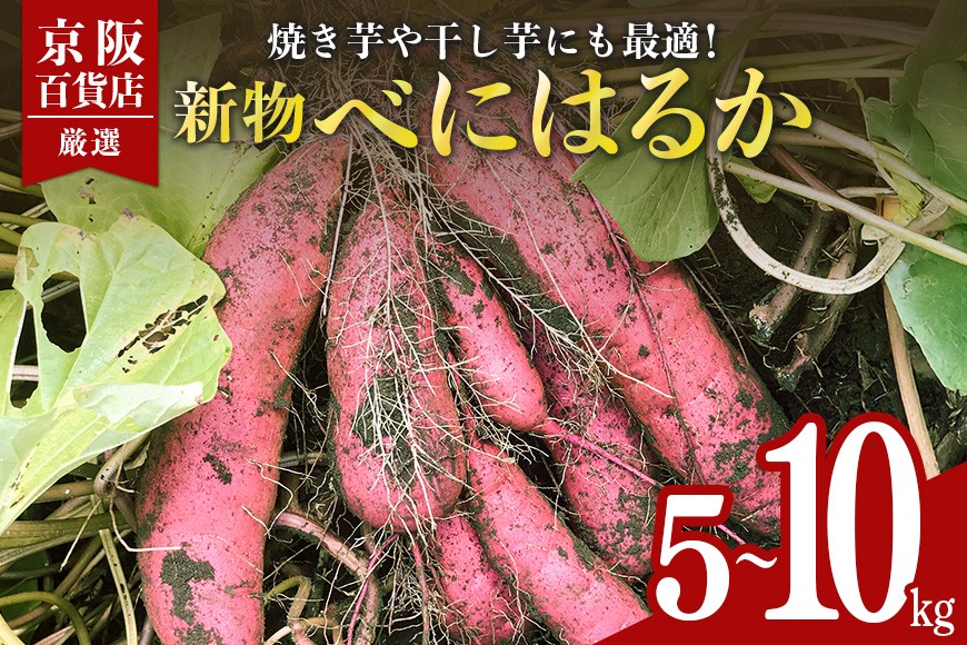 
            【京阪百貨店厳選】茨城県産べにはるか 選べる 5kg 10kg（新物）[A品L～2Lサイズ] [サイズ無選別品] 芋 さつま芋 サツマイモ さつまいも B18-SKU-001
          