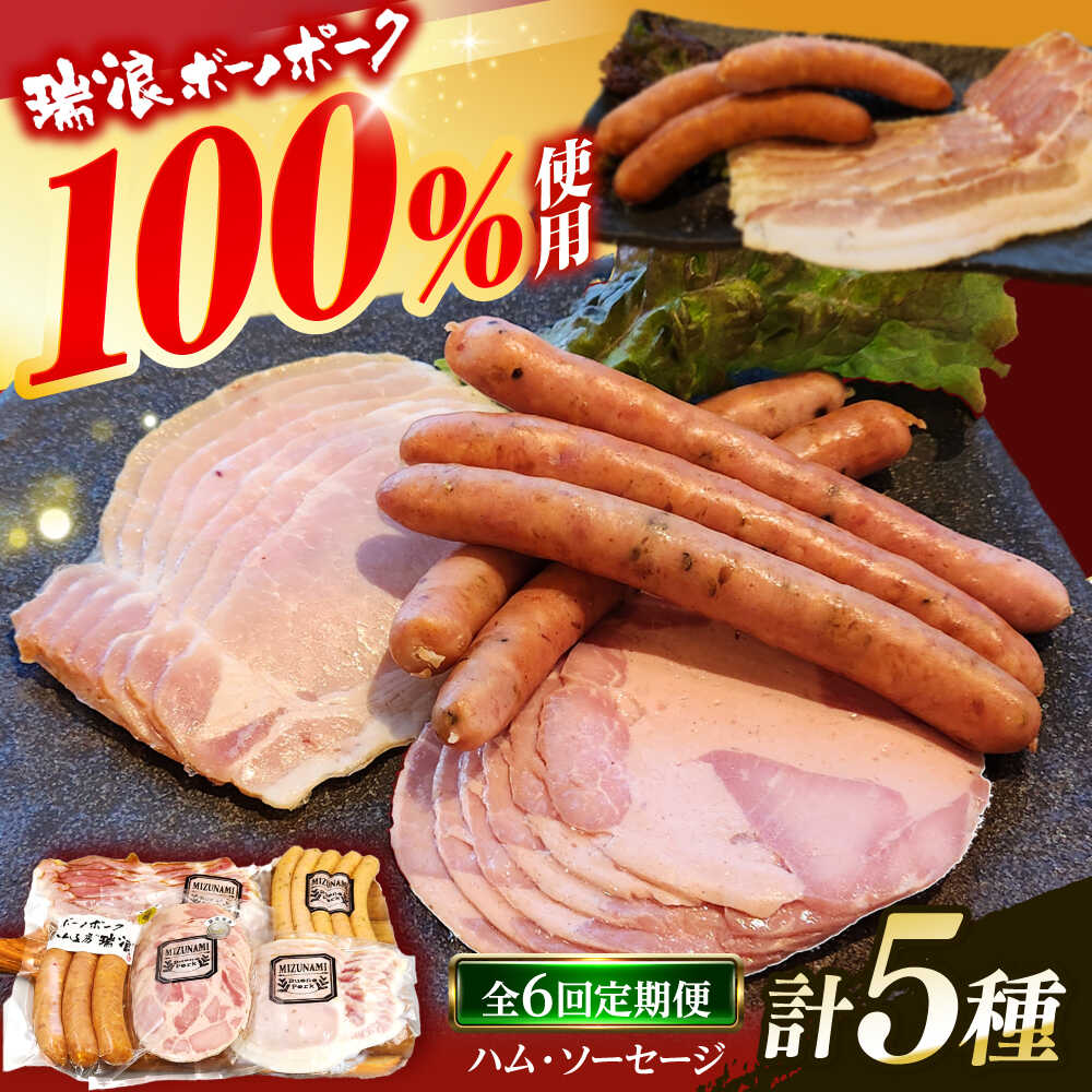 【ふるさと納税】【6回定期便】 ハム・ソーセージ 瑞浪ボーノポーク お試し 5種セット 600g (冷凍) 瑞浪市 / きなぁた瑞浪 詰め合わせ ギフト[AZCI099]