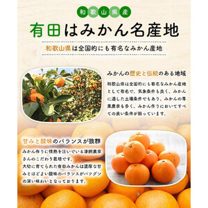 ［先行予約］ご家庭用 完熟有田みかん 約5kg［2025年12月発送予定］訳あり 農家直送［MS31-2］