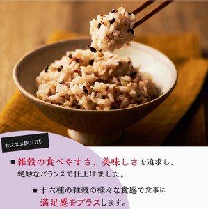 【 栄養満点 】 定期便3回 十六 雑穀 ごはんパック 160g 18個