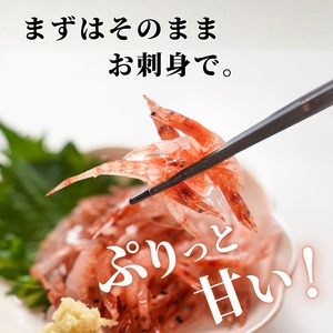 焼津特選 生桜えび 100g×5 (a15-562)