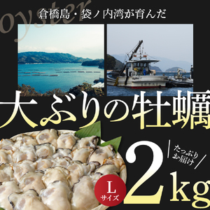 北吉水産 広島県産 冷凍 かき Lサイズ 2kg（1kg×2袋） 大粒 自社ブランド 牡蠣 カキ 急速冷凍 バラ冷凍 新鮮 美味しい 殻むき不要 小分け 便利 アレンジいろいろ カキフライに 広島県 