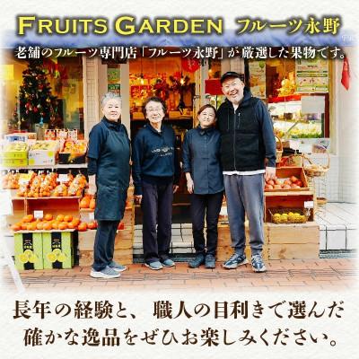 ふるさと納税 宮崎市 【発送月固定定期便】南国宮崎のフルーツ定期便全12回 |  | 03