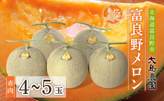 【2026年7月中旬～発送】ふらのメロン 赤肉 4～5玉 計8kg以上 北海道 富良野市 (大島農園)