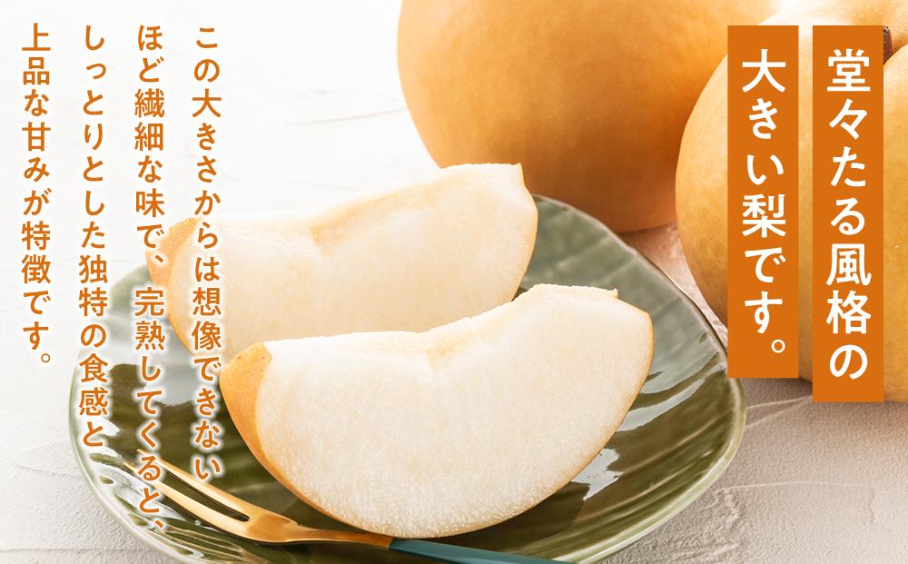 梨 2024年 先行予約 あたご梨 2玉（1玉約750g）合計約1.5kg なし ナシ 岡山県産 国産 フルーツ 果物 ギフト [No.5220-0593]