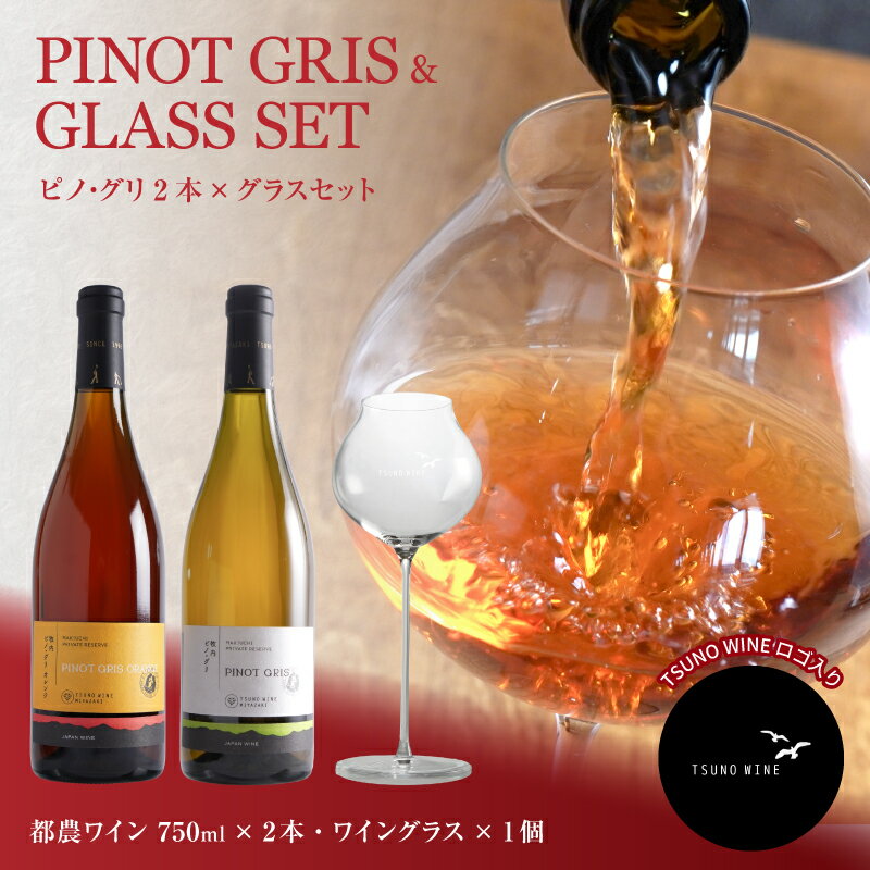 【ふるさと納税】先行予約 ≪数量限定≫ 都農ワイン ピノグリ 2本 ＆ グラス セット 酒 飲料 アルコール 国産 ロナ ぶどう 果実酒 2種 白 オレンジ 飲み比べ おすすめ 肉魚料理 贅沢 ご褒美 晩酌 記念日 お祝い プレゼント ギフト 贈答 贈り物 常温 宮崎県 都農町 送料無料