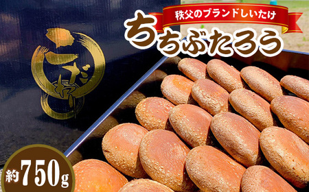 秩父のブランドしいたけ ちちぶたろう　菌床しいたけ約750g No.221