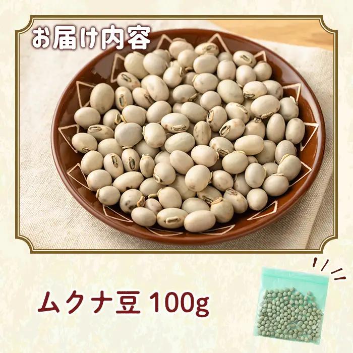 ムクナ豆 100g 八升 ハッショウマメ 【永濱農園】n427