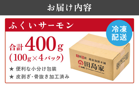 ふくいサーモン 400g (刺身用)　真空冷凍　100g × 4パック 【サーモン 鮭 刺身 さけ サケ さかな 魚 人気 海鮮 海鮮食品 小分け お刺身用 生食用 生食可 低脂肪 低カロリー ヘルシ