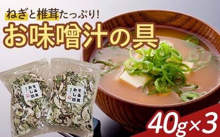 天栄村名産のねぎと椎茸たっぷり！お味噌汁の具 40g×3パック F21T-323
