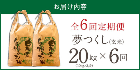 【定期便6回】【令和8年産 新米】福岡県産ブランド米夢つくし 玄米 20kg×6回 _  夢つくし 20kg 6回 定期便 福岡県産 久留米産 ブランド米 品種 艷やか 光沢 やわらかい 食感 米 ご