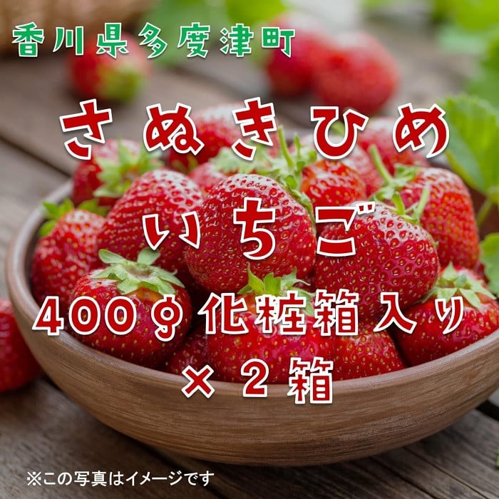 
            香川県オリジナル品種 さぬきひめいちご 約400g化粧箱入り(12～18粒)×2箱【令和8年2月中旬頃より発送】【B-49】
          