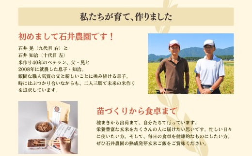 あずきたっぷり・熟成3日寝かせ 発芽玄米 パックご飯 簡易包装 125g × 10個 コシヒカリ 酵素玄米 | 寝かせ玄米 特別栽培米 パックごはん レトルトご飯 こしひかり お米 レンチン 時短 簡