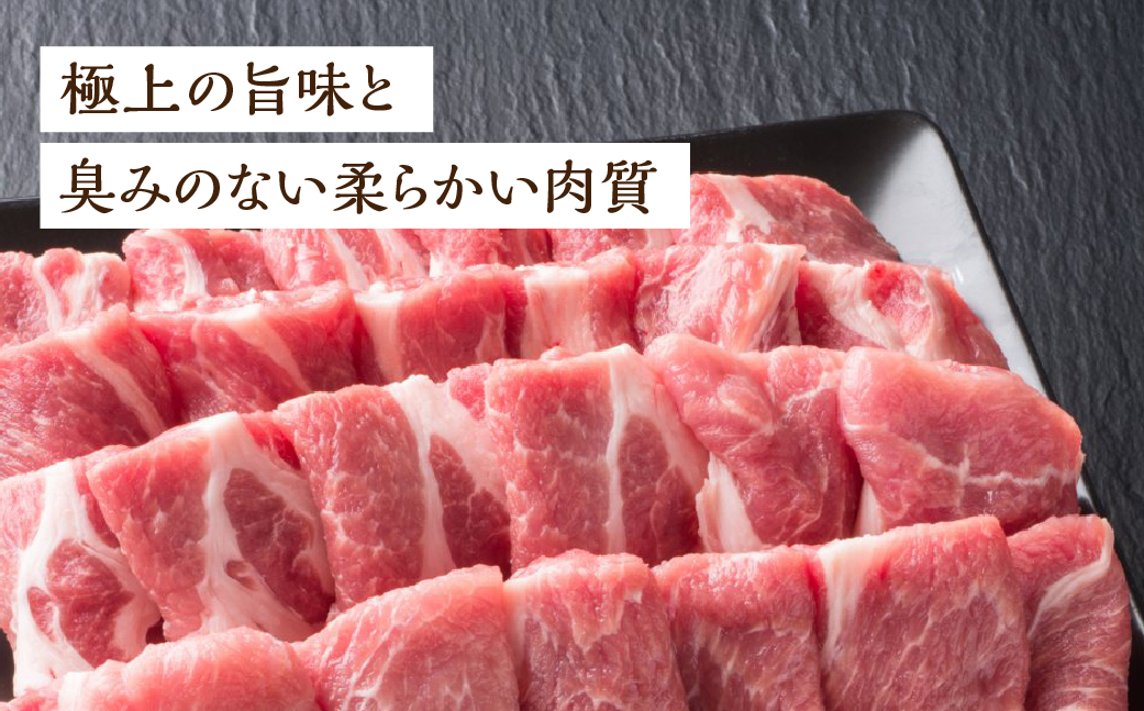 【冷凍】飛騨納豆喰豚肩ロース焼肉・生姜焼き用セット 880g【11-6】