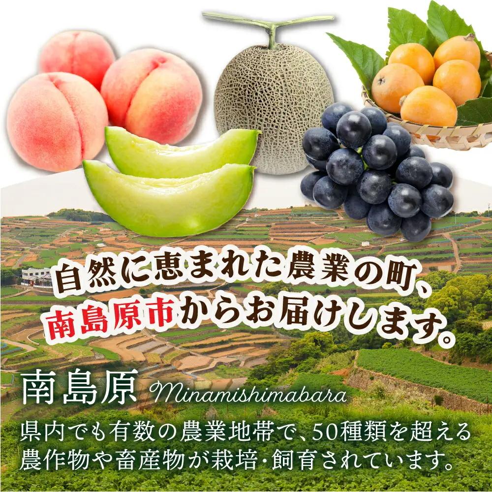フルーツセット 2-3品目 [SCZ012] 旬のフルーツ