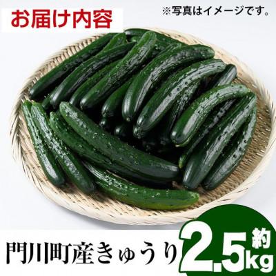 ふるさと納税 門川町 宮崎県産きゅうり2.5kg |  | 03